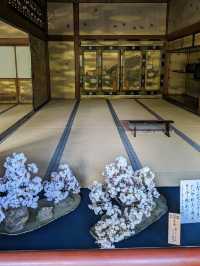 仁和寺の庭や池を眺めるていると、神社とは、また違う…寺院独特の荘厳な美しさを感じる