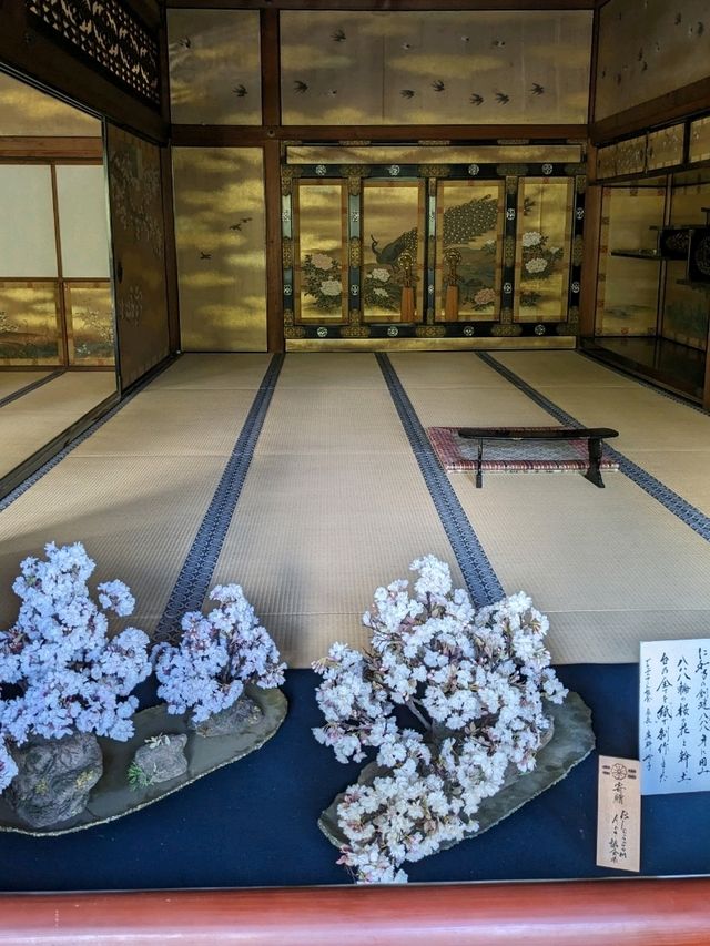 仁和寺の庭や池を眺めるていると、神社とは、また違う…寺院独特の荘厳な美しさを感じる