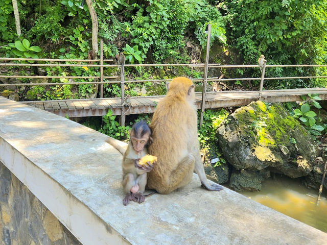 Monkey Trail, Ao Nang