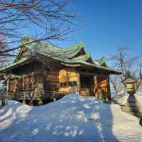 일본여행 오타루의 한적한 Suitengu Shrine 水天宮 신사