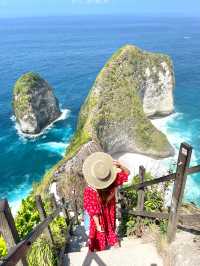 【ペニダ島🇮🇩】バリ島から日帰りで行ける絶景アイランド