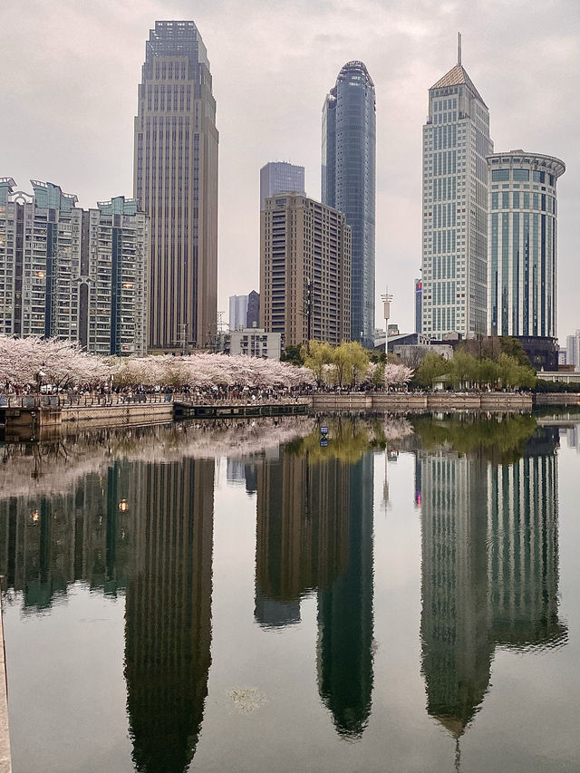 🌸Wuhan is Blooming 