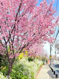 【馬場子育稲荷神社/東京都】子どもの健全な育成を願うと思われる