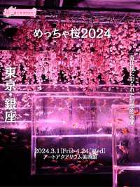 【銀座】春気分を味わうならココ🌸！アートアクアリウム美術館