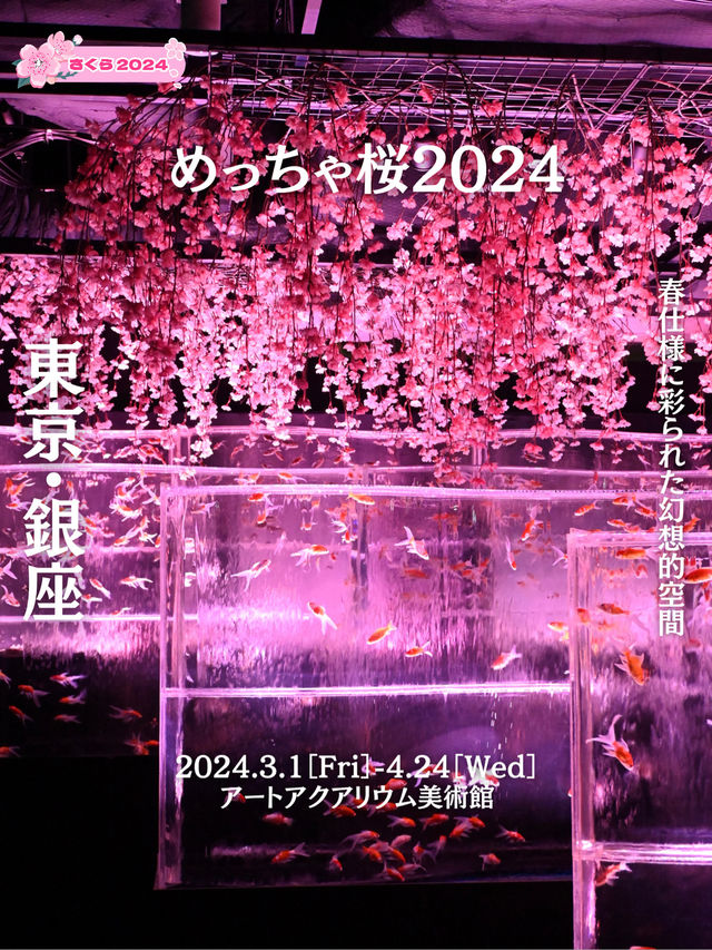 【銀座】春気分を味わうならココ🌸！アートアクアリウム美術館
