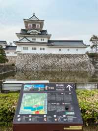 【富山】周りに咲く季節の花が素敵なお城