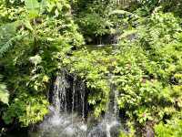 Kuala Lumpur Butterfly Garden