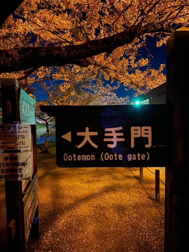 【滋賀】堀の水面に映るリフレクションが素敵すぎるお城の桜