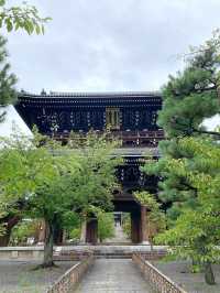 【京都観光】可愛いアヒルがお出迎え♡花玉手水に癒される寺院