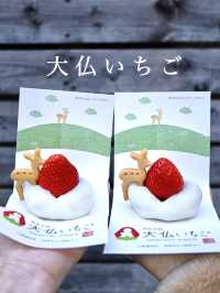 【奈良】鹿クッキーが乗ったスイーツが可愛いいちご専門店
