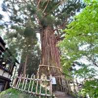 【戸隠神社中社/長野県】戸隠神社5社のうちの中心地 