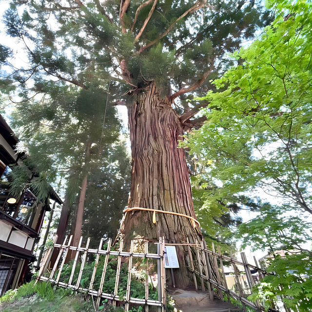 【戸隠神社中社/長野県】戸隠神社5社のうちの中心地 