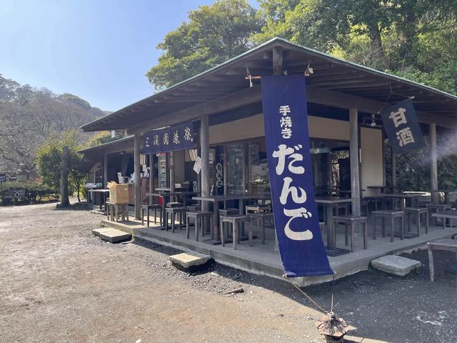 桜が楽しめる三溪園@横浜　〜春〜　🌸