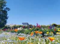 Hibiya Kadan Ofuna Flower Center Ofuna Botanical Gardens