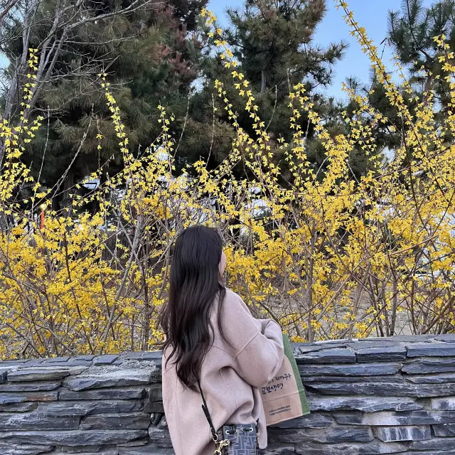 송도 센트럴파크에서 봄내음이 물씬🌿 맛집-카페-산책 데이트코스 추천