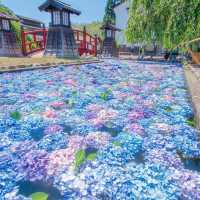 英彥山花園：和洋文化融合，英式鄉村庭院