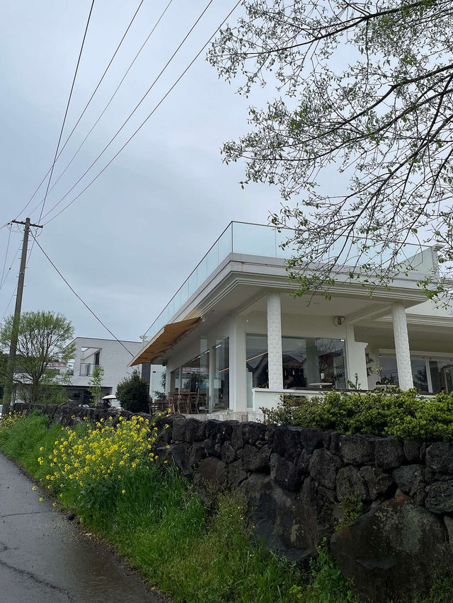 🪽🌳제주 서귀포 | 산방산 뷰가 멋진 제주 위이 카페 