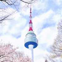 N Seoul Tower in Pink Hues