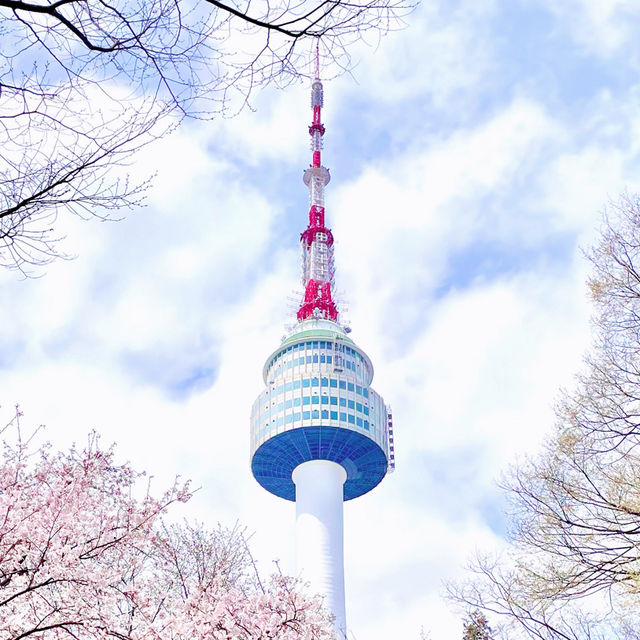 N Seoul Tower in Pink Hues