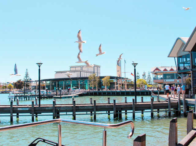 Charming Harbour in Perth, Western Australia 🇦🇺