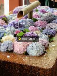 花手水が見られる鎌倉の名所　鶴岡八幡宮