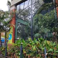 墨爾本動物園 Melbourne Zoo 