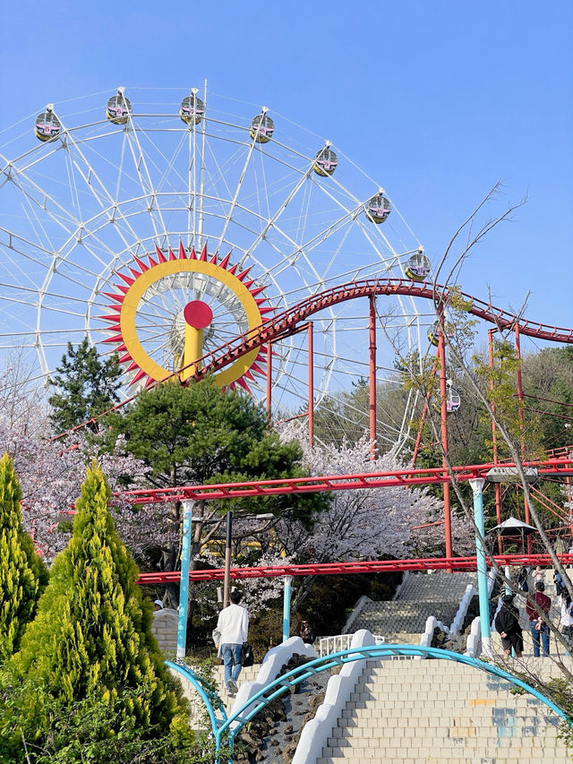 🎡16,000원 내고 하늘자전거만 타고 온 썰,,, 이거 맞아?,,,