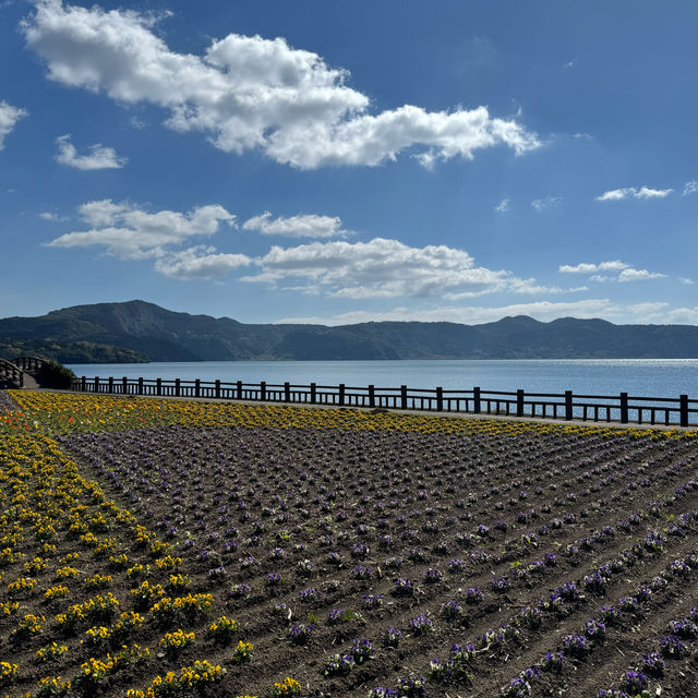 四季花海「池田湖」