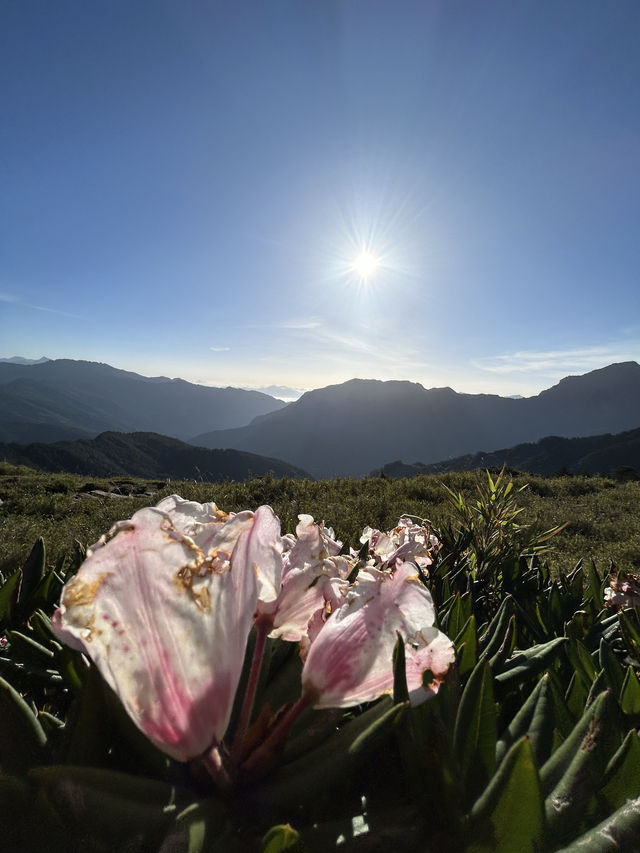 合歡山Hehuan Mountain