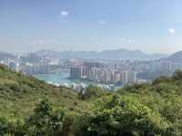 【春天好去處】🌿香港郊遊🍀@元荃古道：☀️靚景賞花🌸，適合假日郊遊