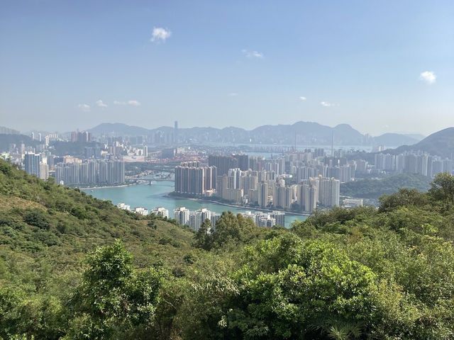 【春天好去處】🌿香港郊遊🍀@元荃古道：☀️靚景賞花🌸，適合假日郊遊