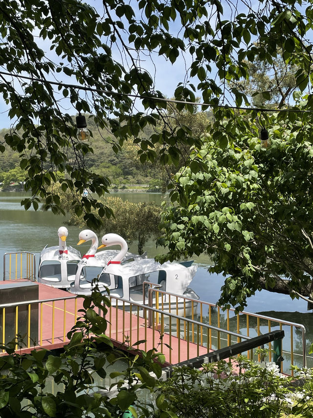 충북 제천의 대표 관광지 ✨
