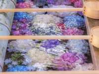 秋田北浦雲昌寺繡球花