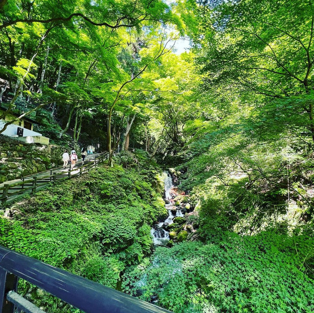 養老の滝