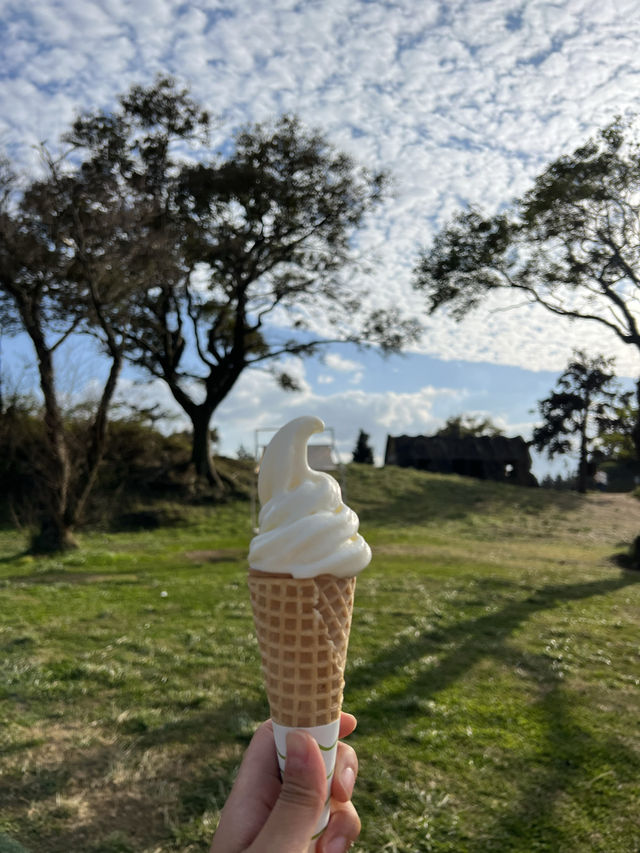 제주의 푸르름을 느낄 수 있는 성이시돌목장💚