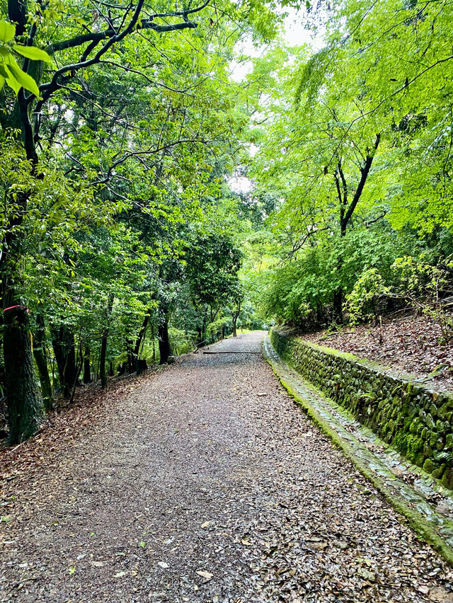 【宇治】大吉山：簡單路徑登至山頂，動漫朝聖之旅
