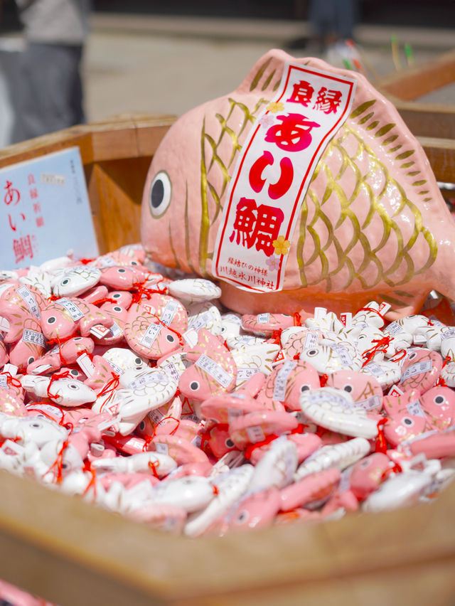 【埼玉 / 川越】おみくじが釣りみたいになってて楽しい川越氷川神社