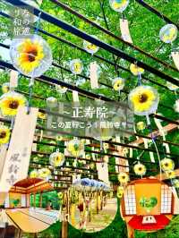 〜京都府〜夏の風鈴寺🎐♡の窓が可愛いお寺さん