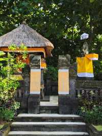 Morning Blessings at Revīvō 