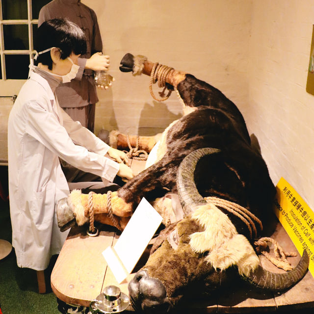 Hong Kong Museum of Medical Sciences