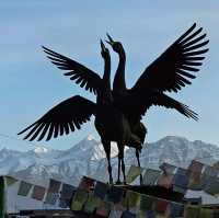 Leh market (อินเดีย)