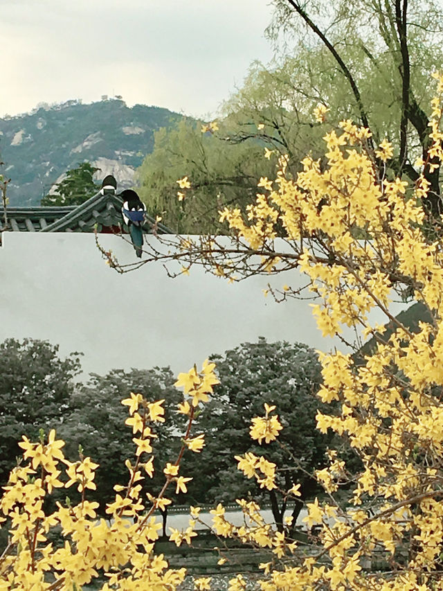 【首爾】景福宮：踏尋千年歷史，充滿韓國傳統韻味的皇家宮殿