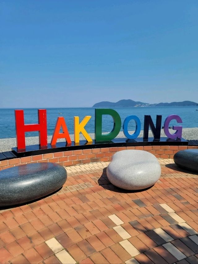 학동몽돌해변에서 여름휴가 보내기🌊