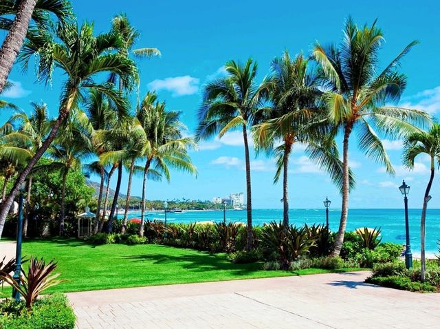 🌊 Surf's Up at the Moana Surfrider 