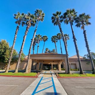 Surrounded by palm trees, comfortable and hygienic hotel
