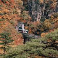 เที่ยวเชิงประวัติศาสตร์ เยือนหมู่บ้านจิ้งจอกซาโอะ 