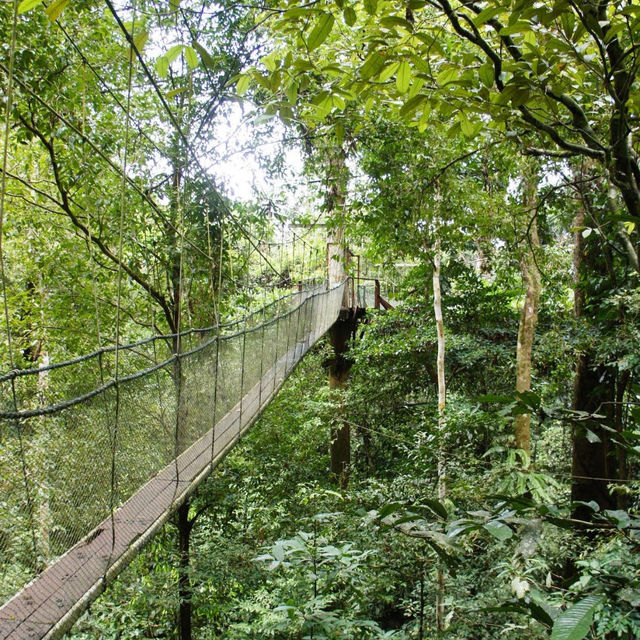 Exploring the Wonders of Gua Mulu