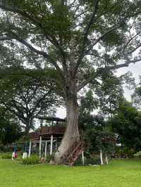 ไร่กุสุมา สระบุรี