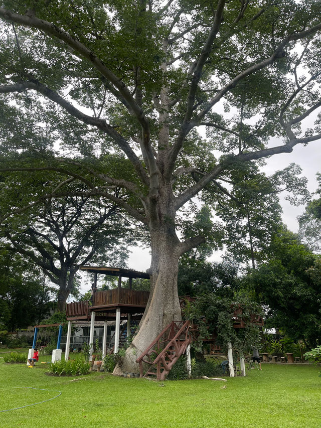 ไร่กุสุมา สระบุรี