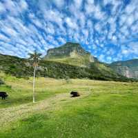 🌴 Lord Howe Island: A Hidden Paradise 🌴